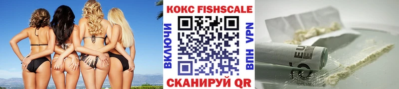 как найти   Вязники  COCAIN Fish Scale 