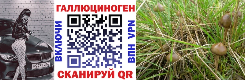 Галлюциногенные грибы мицелий  Вязники 