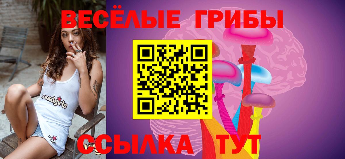 Вязники  Псилоцибиновые грибы Magic Shrooms  купить наркоту  Вход с VPN 